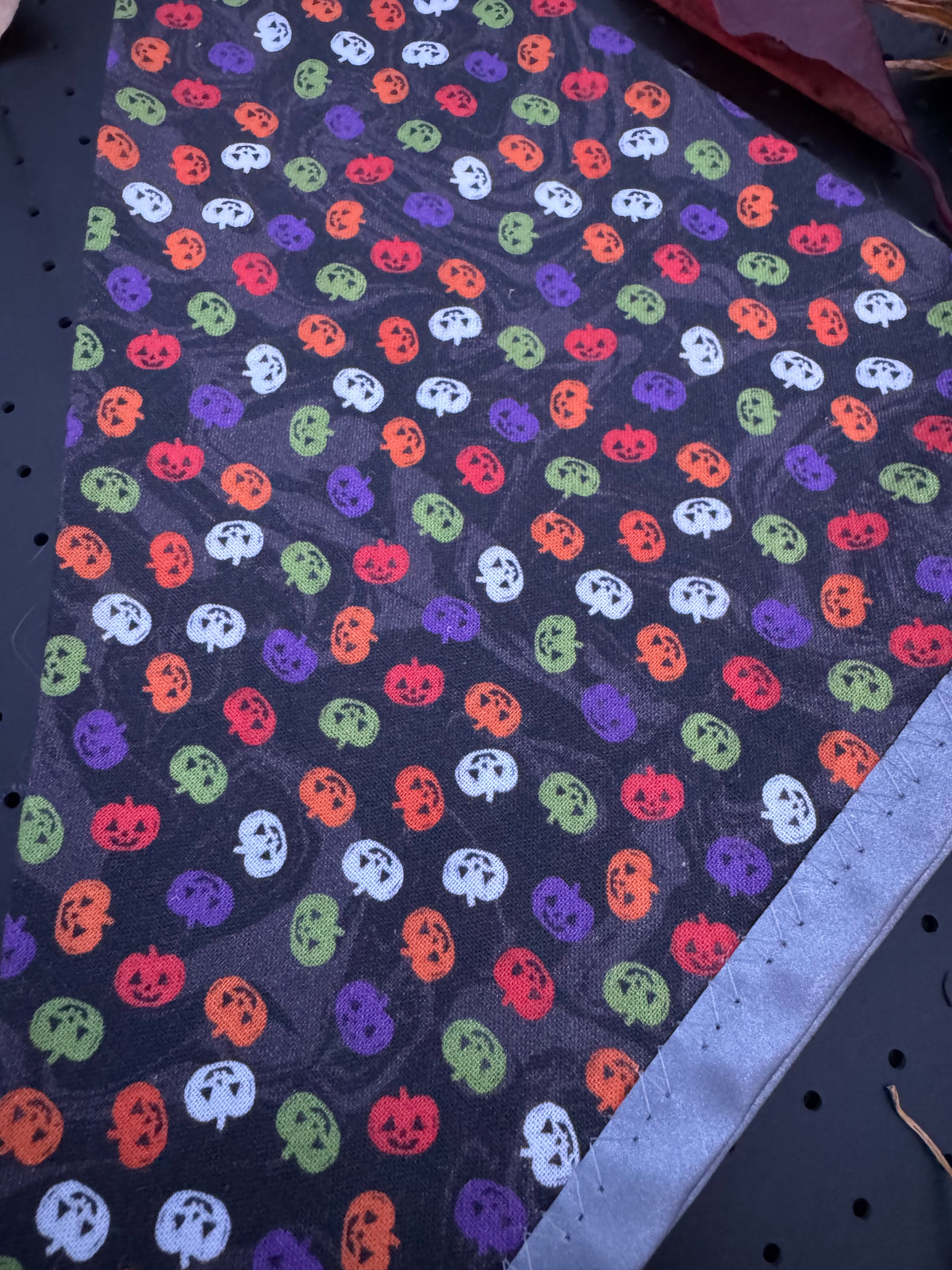 Colorful pumpkins L Reflective Bandana