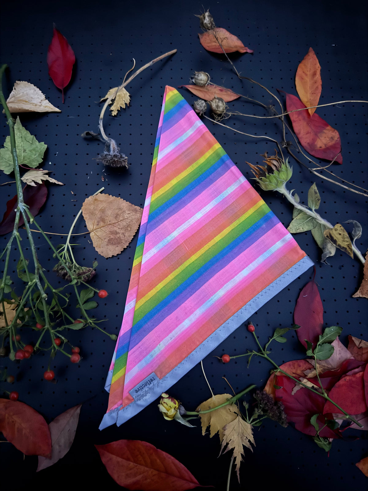 Neon pink rainbow striped  L Reflective Bandana