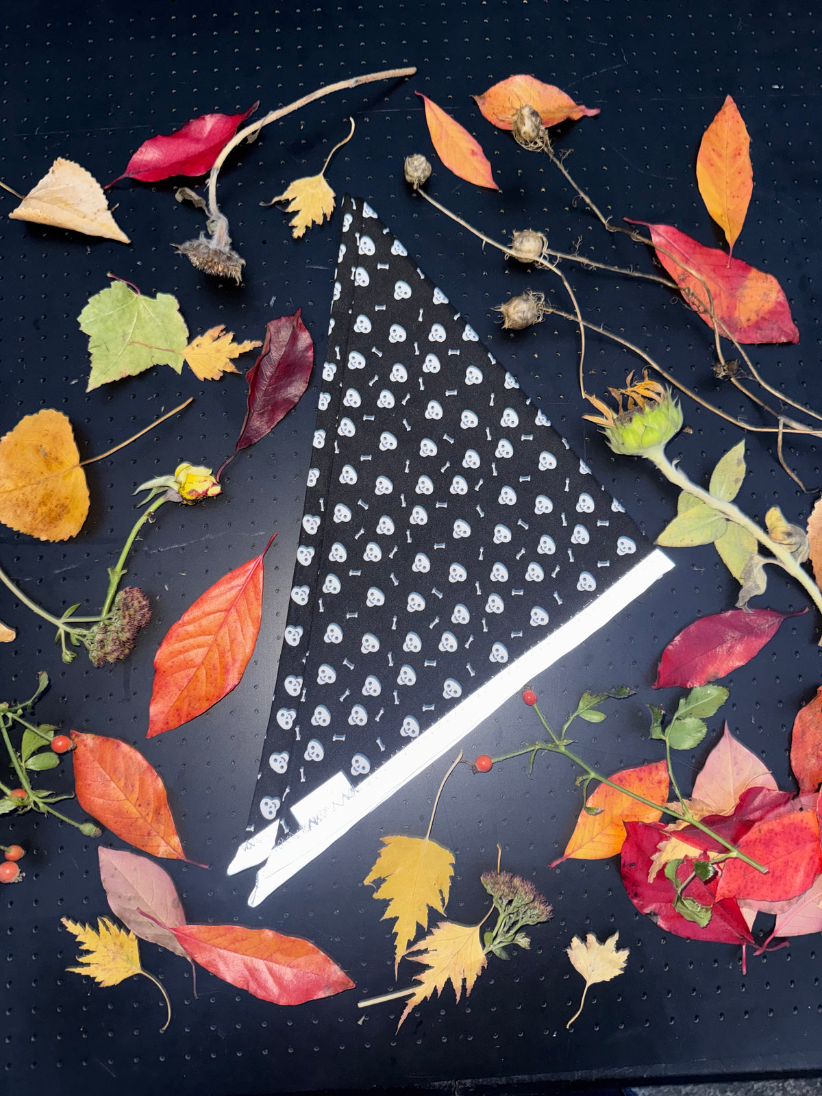 Skull and bones L Reflective Bandana